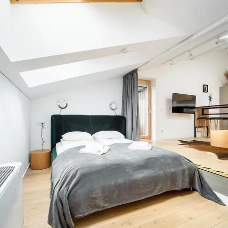 Owl Jazz Apartments - Luxury Apartments In The Heart Of The City Kaunas Exterior photo