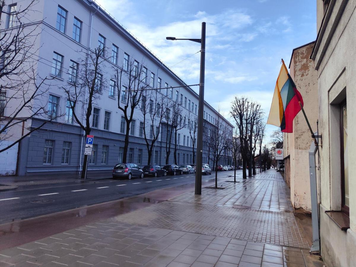 Huoneisto Owl Jazz - Luxury In The Heart Of The Kaunas